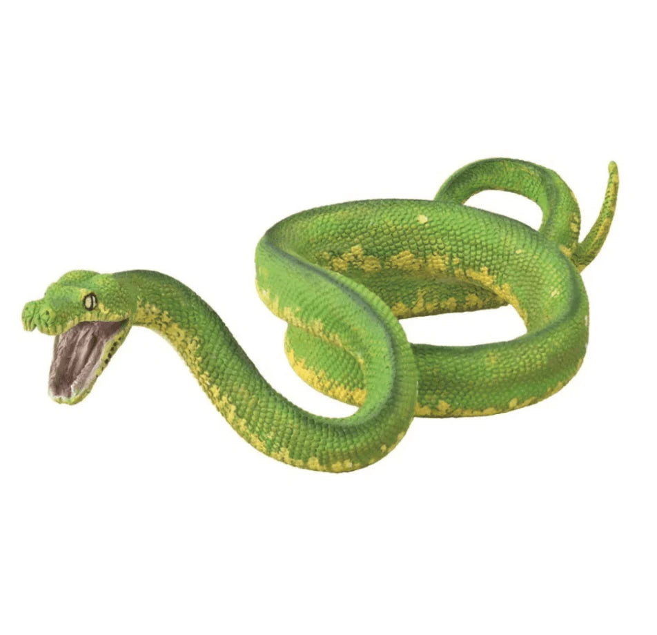 The Curated Parcel - CollectA // Green Tree Python 