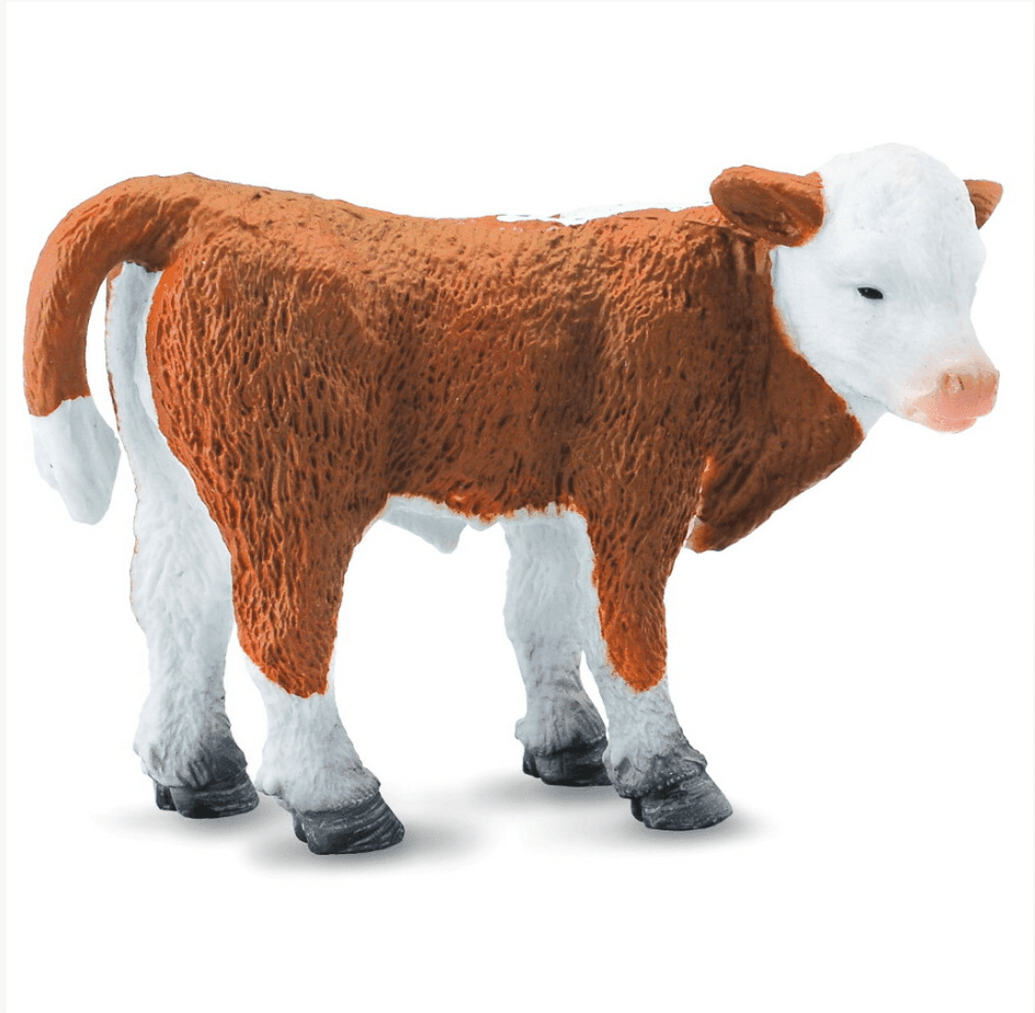 The Curated Parcel - CollectA // Hereford Calf 