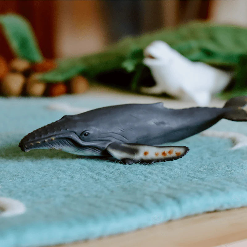 The Curated Parcel - CollectA // Humpback Whale 