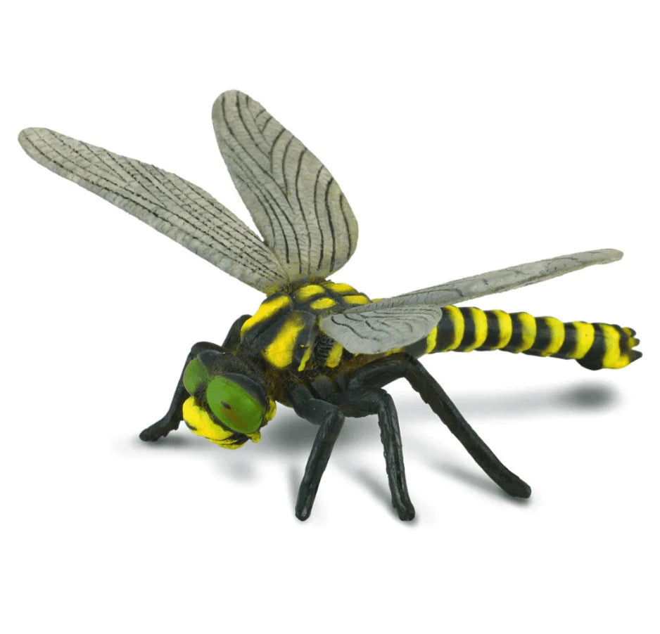 The Curated Parcel - CollectA //  Insect Gift Set 7pcs 