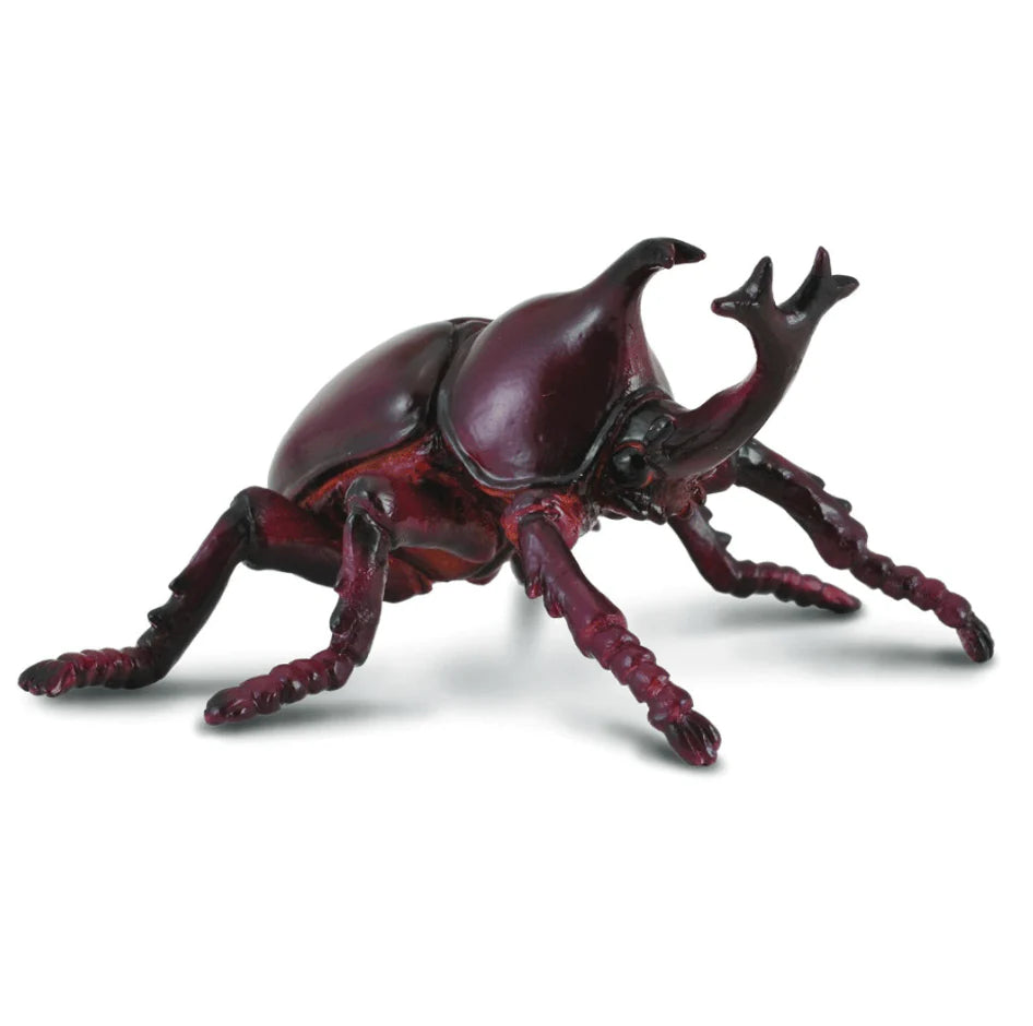 The Curated Parcel - CollectA //  Insect Gift Set 7pcs 