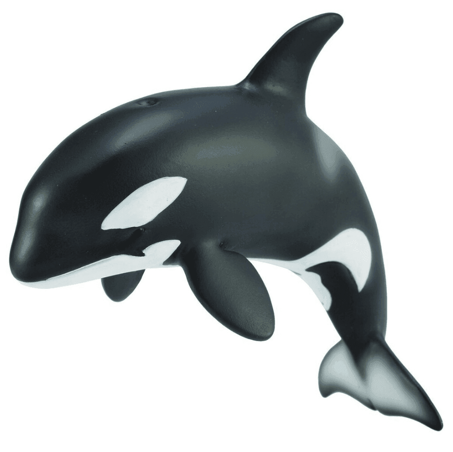 The Curated Parcel - CollectA // Killer Whale Calf 