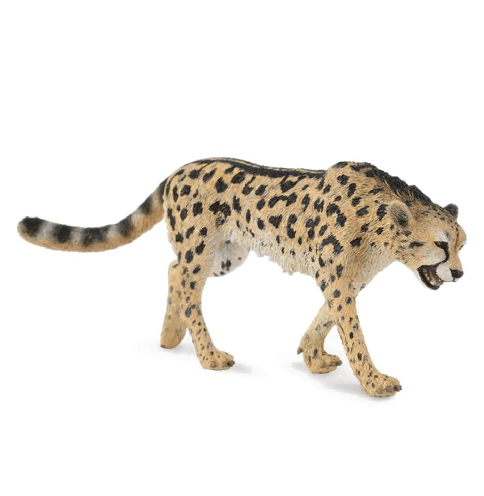 The Curated Parcel - CollectA // King Cheetah 