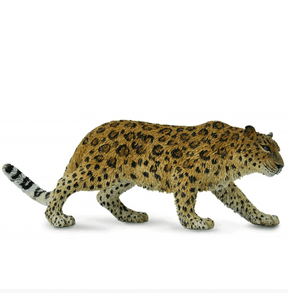 The Curated Parcel - CollectA // Leopard Amur 