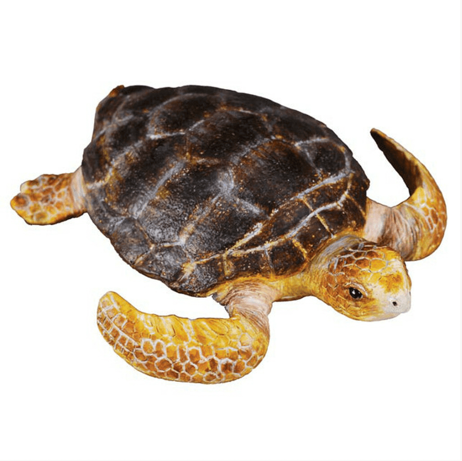 The Curated Parcel - CollectA // Loggerhead Turtle 