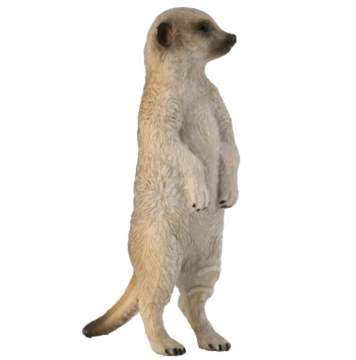 The Curated Parcel - CollectA // Meerkat 