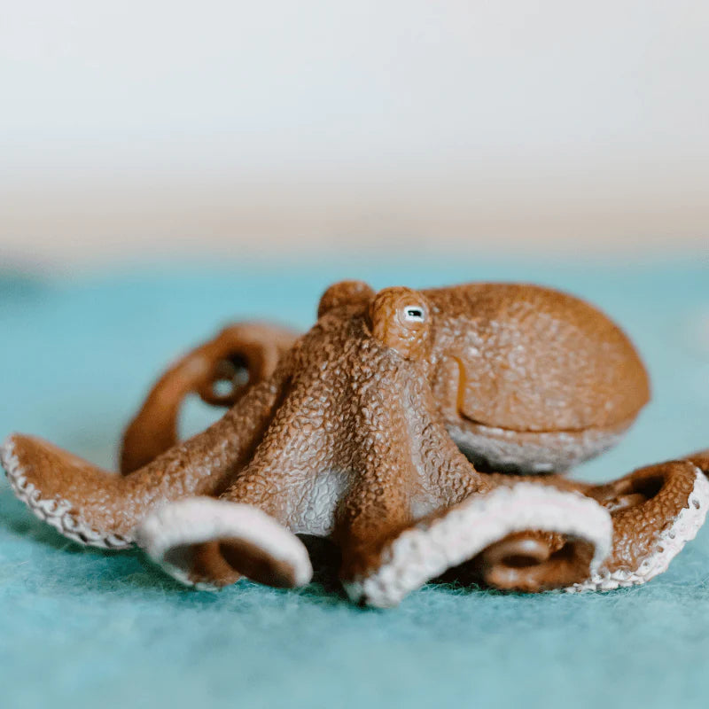 The Curated Parcel - CollectA // Octopus 