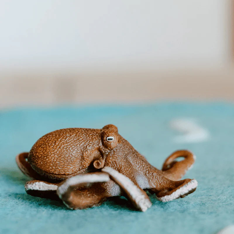 The Curated Parcel - CollectA // Octopus 