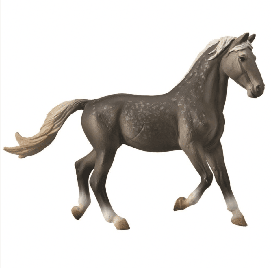 The Curated Parcel - CollectA // Oryol Mare Dark Grey 