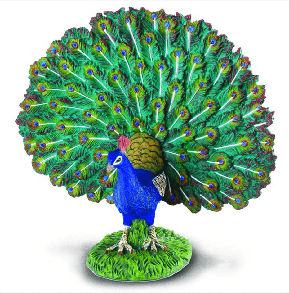 The Curated Parcel - CollectA // Peacock 