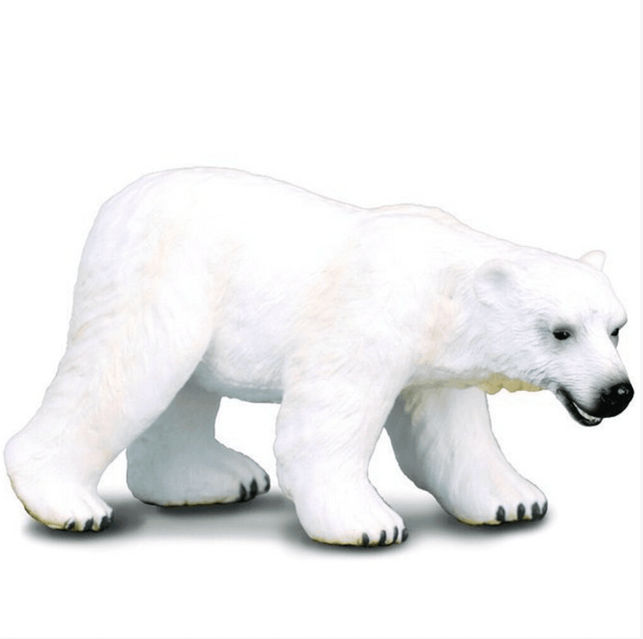 The Curated Parcel - CollectA // Polar Bear 
