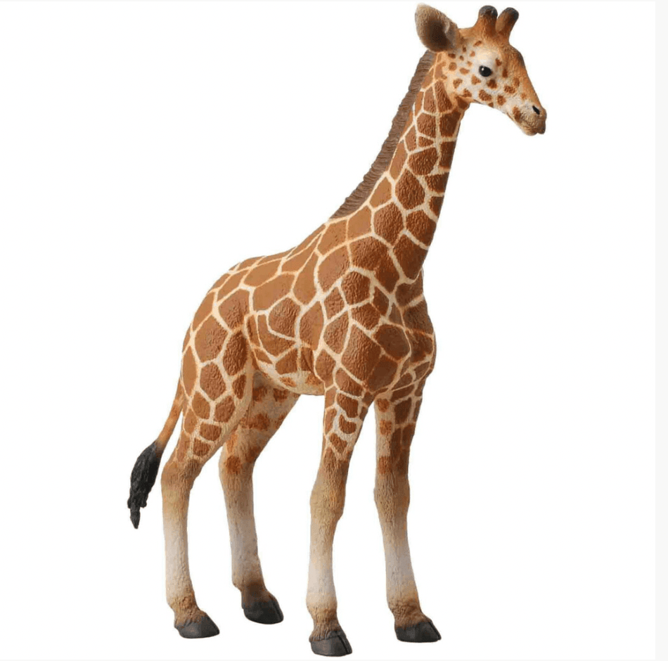 The Curated Parcel - CollectA // Reticulated Giraffe Calf 
