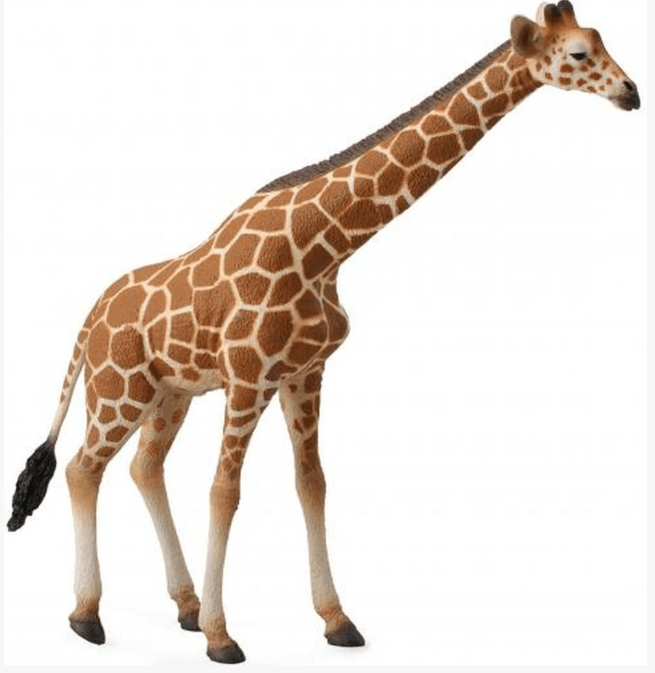 The Curated Parcel - CollectA // Reticulated Giraffe 