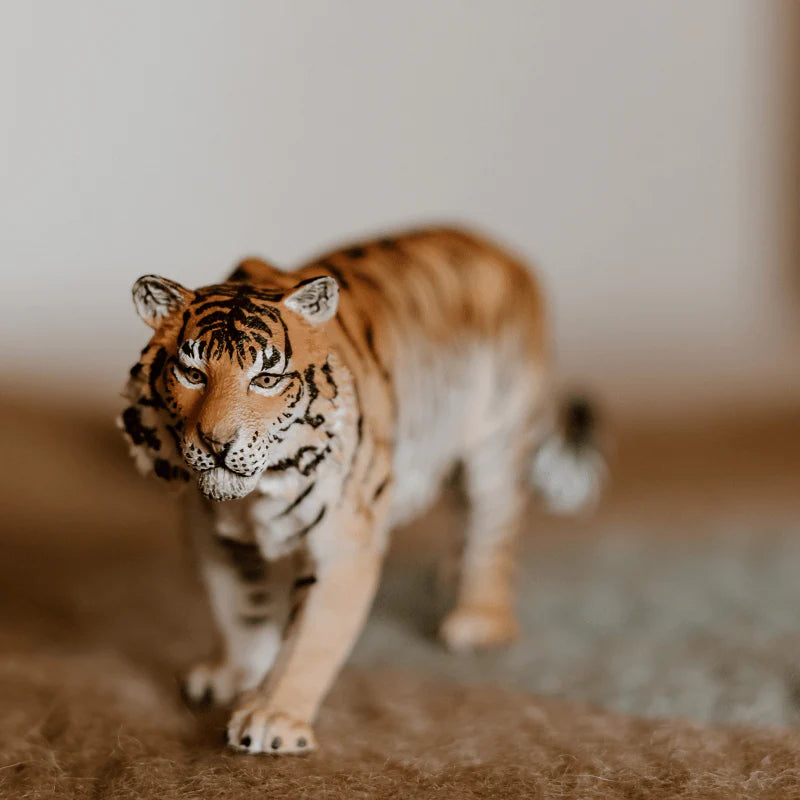 The Curated Parcel - CollectA // Siberian Tiger 