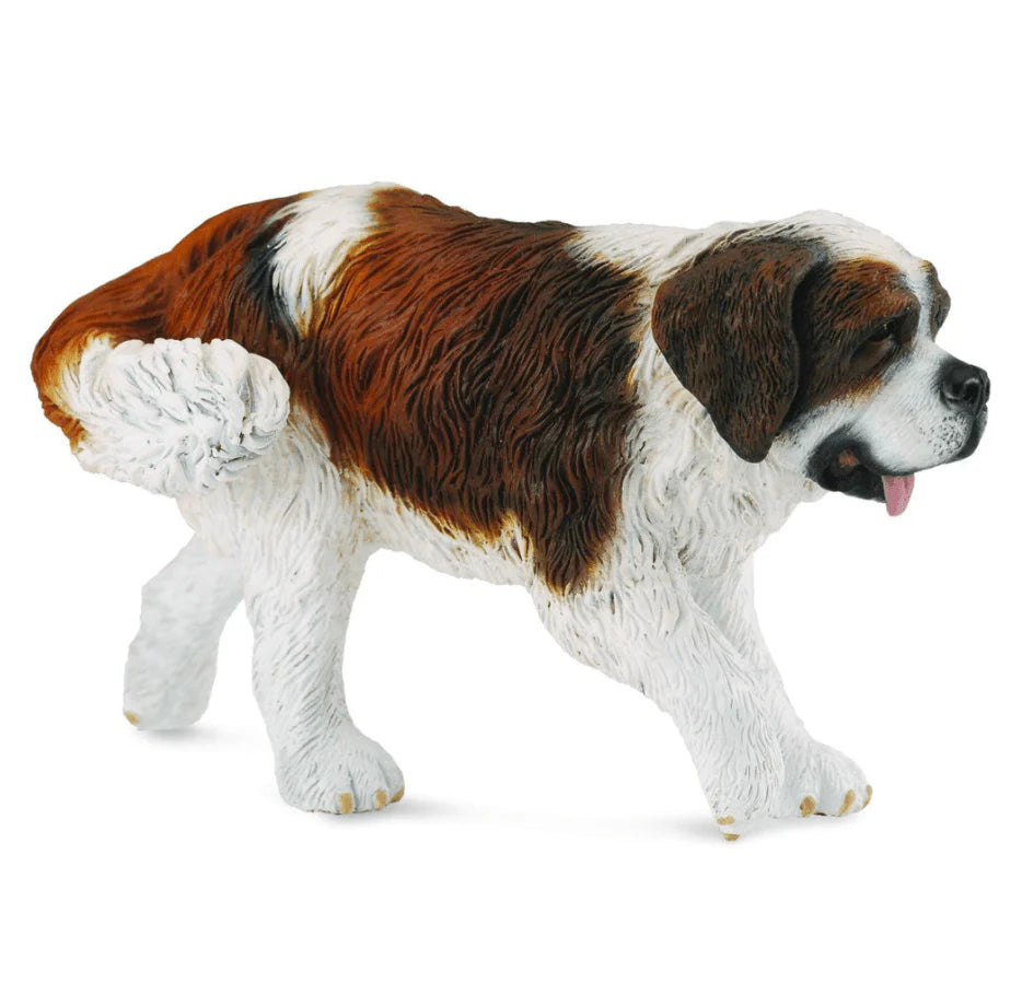 The Curated Parcel - CollectA // St Bernard 