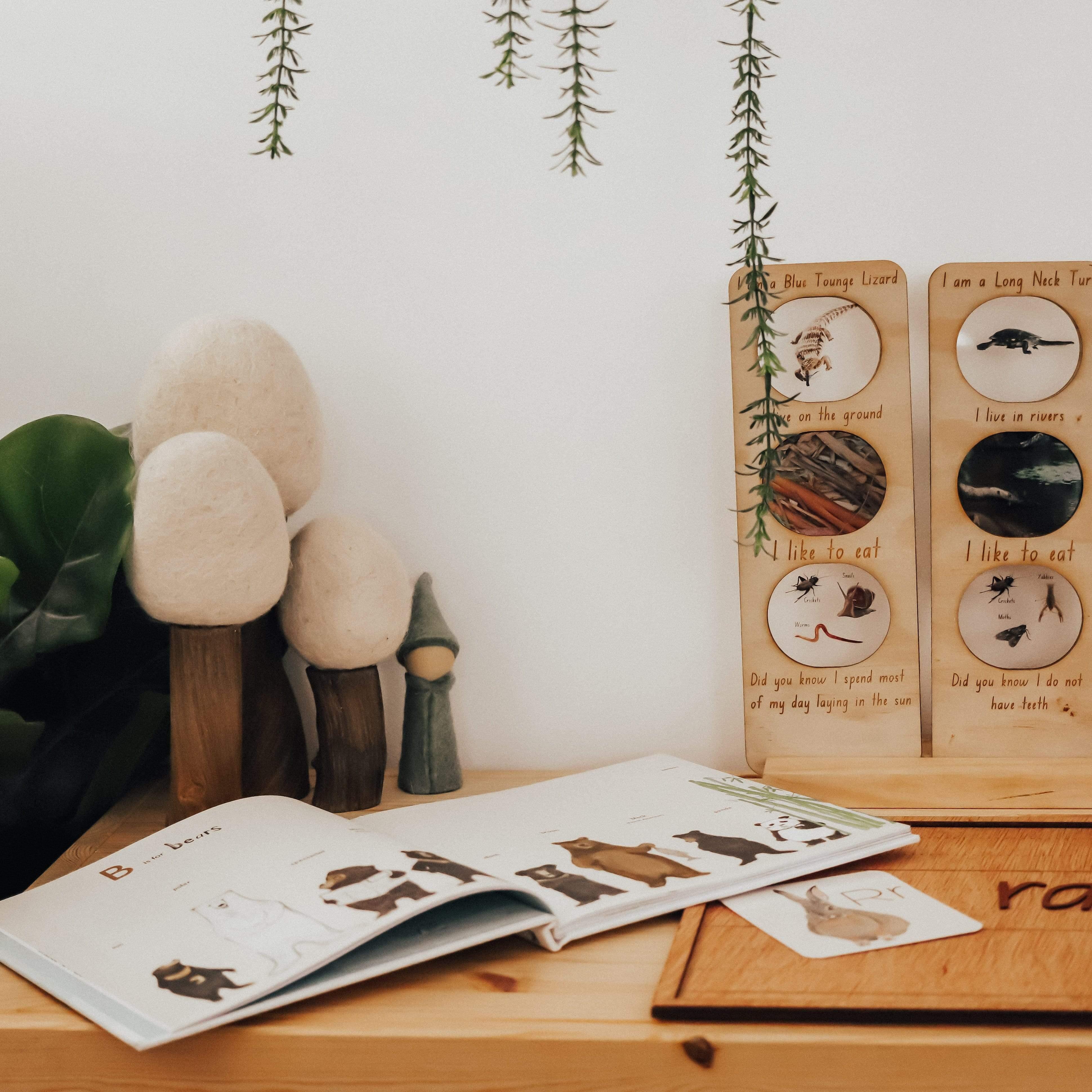 The Curated Parcel - Earth Trees 