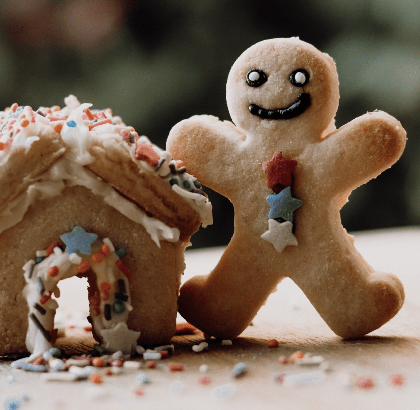 The Curated Parcel - Eco Cutter- Christmas Gingerbread House 