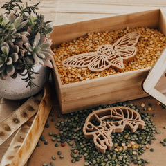 The Curated Parcel - Eco Cutter - Cicada 