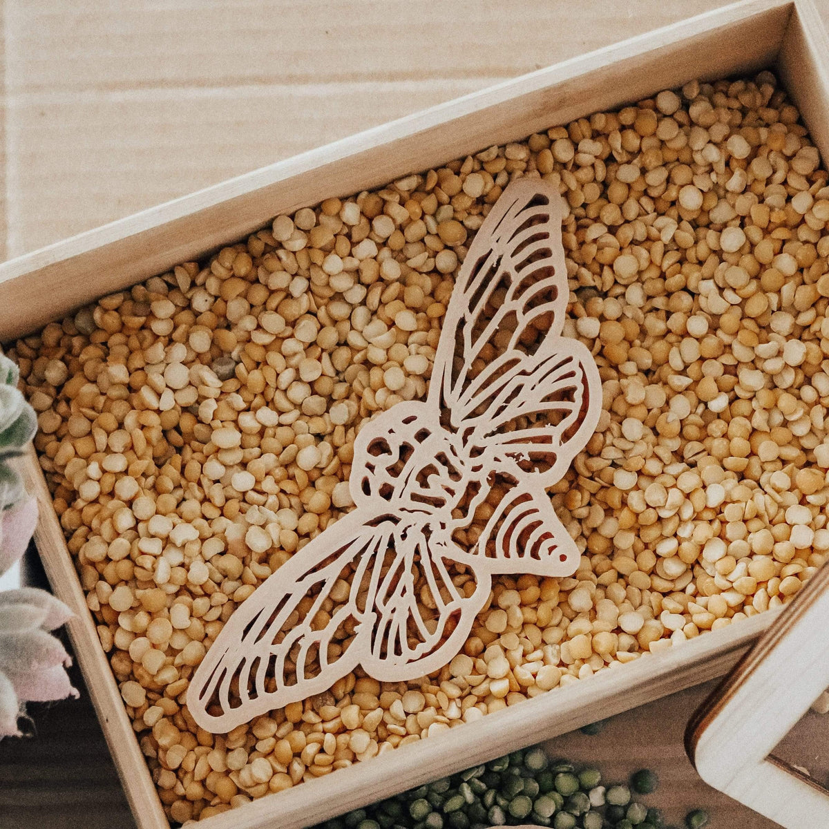 The Curated Parcel - Eco Cutter - Cicada 