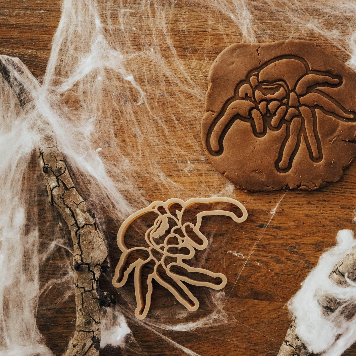 The Curated Parcel - Eco Cutter - Jumping Spider 