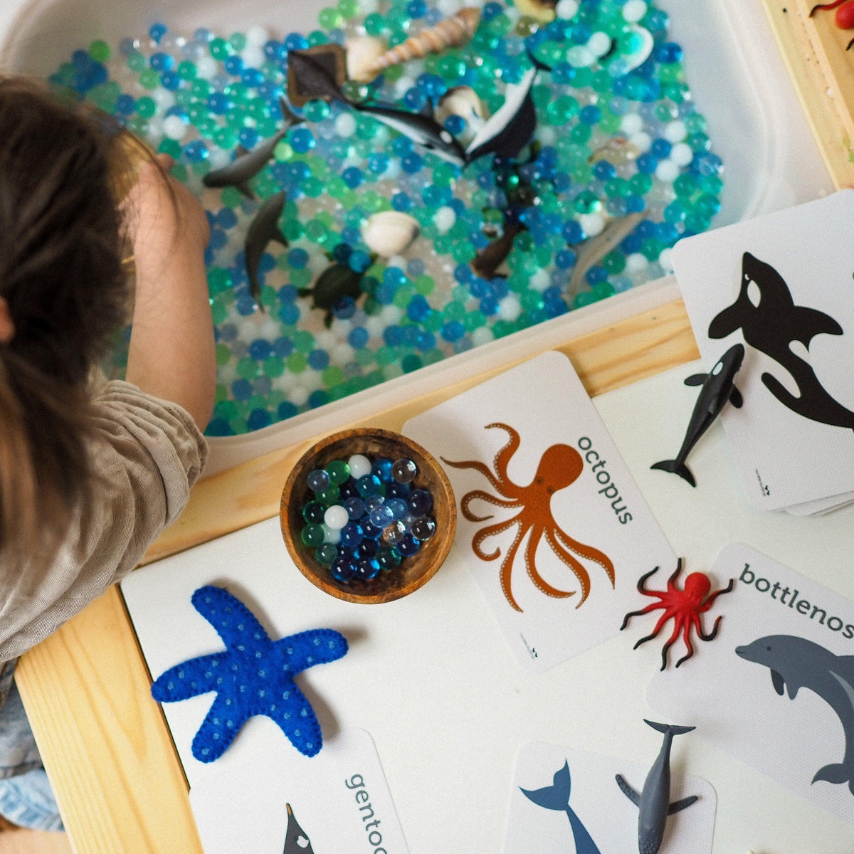 The Curated Parcel - Felt Finger Puppet - Australian Coral Reef Under The Sea 