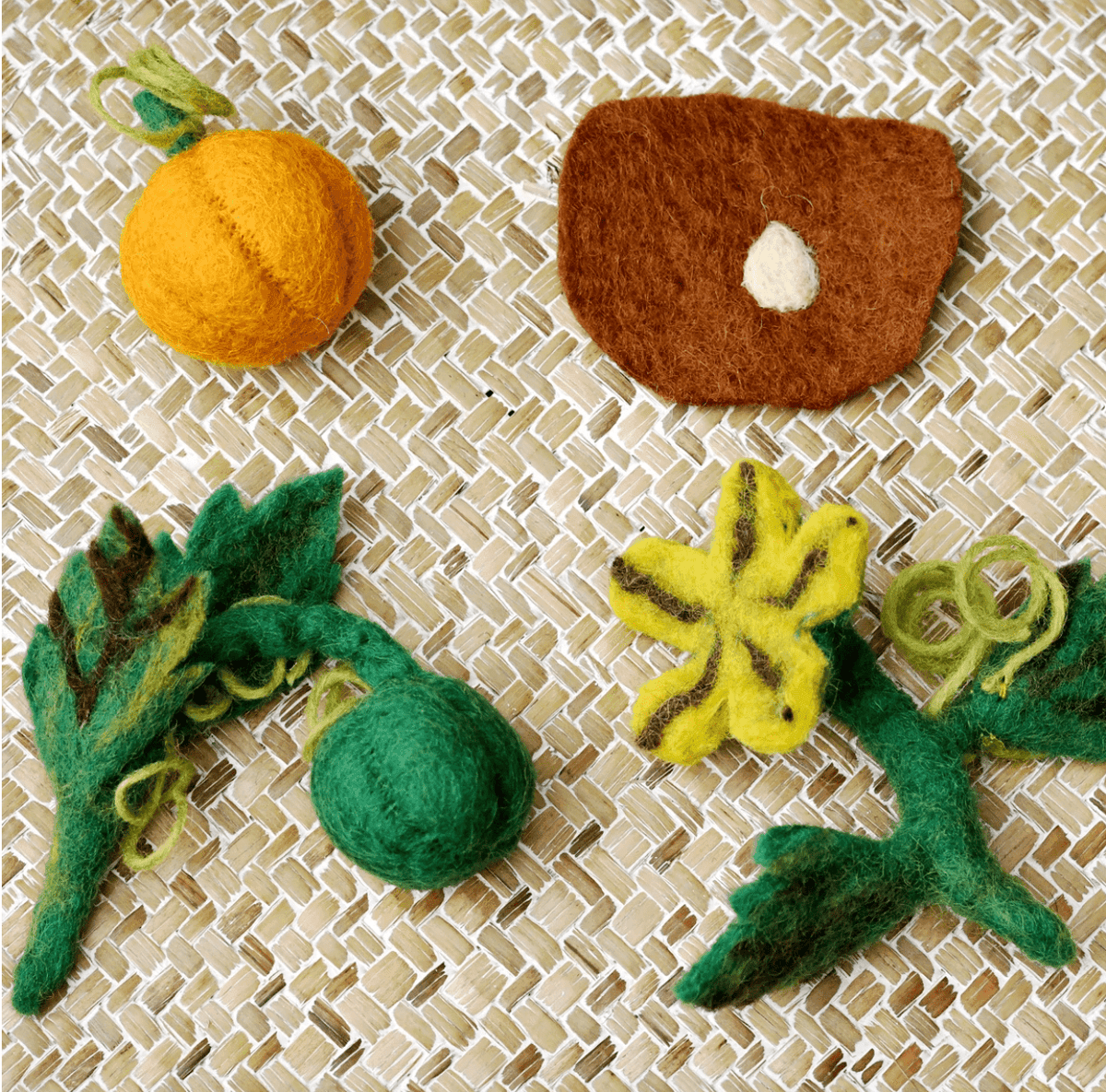 The Curated Parcel - Felt Lifecycle // Pumpkin 