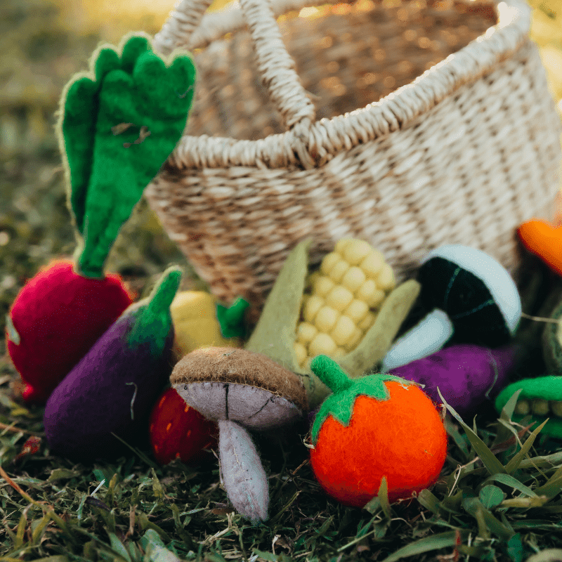 The Curated Parcel - Felt Vegetables & Fruits Set A 