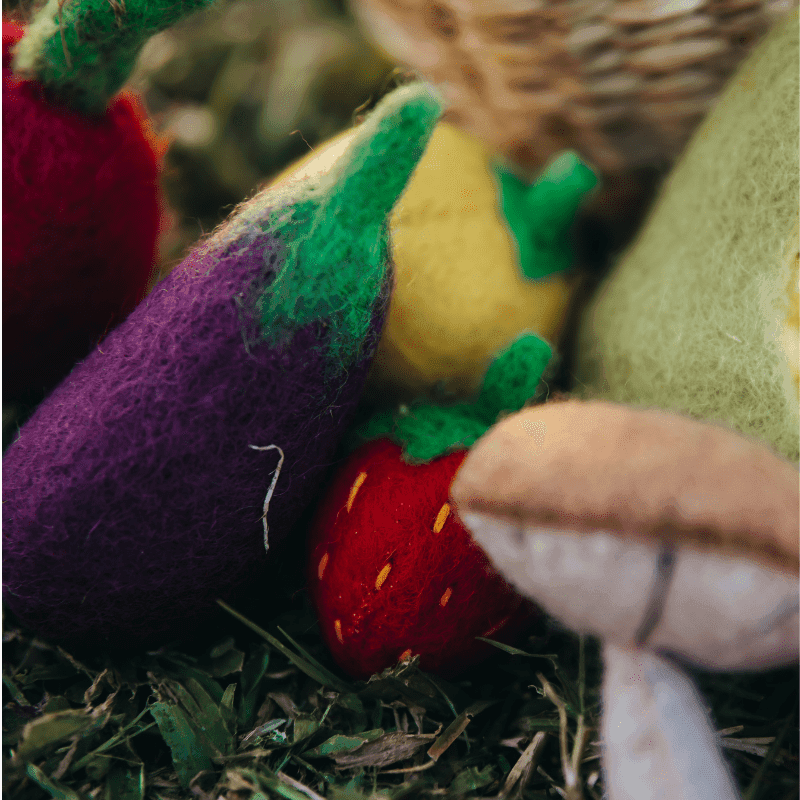 The Curated Parcel - Felt Vegetables & Fruits Set A 