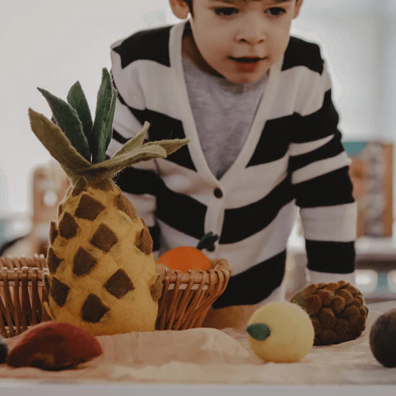 The Curated Parcel - Felt Vegetables & Fruits Set D 