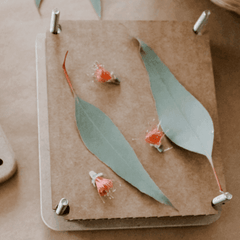 The Curated Parcel - Flower Press Kit - Mini 