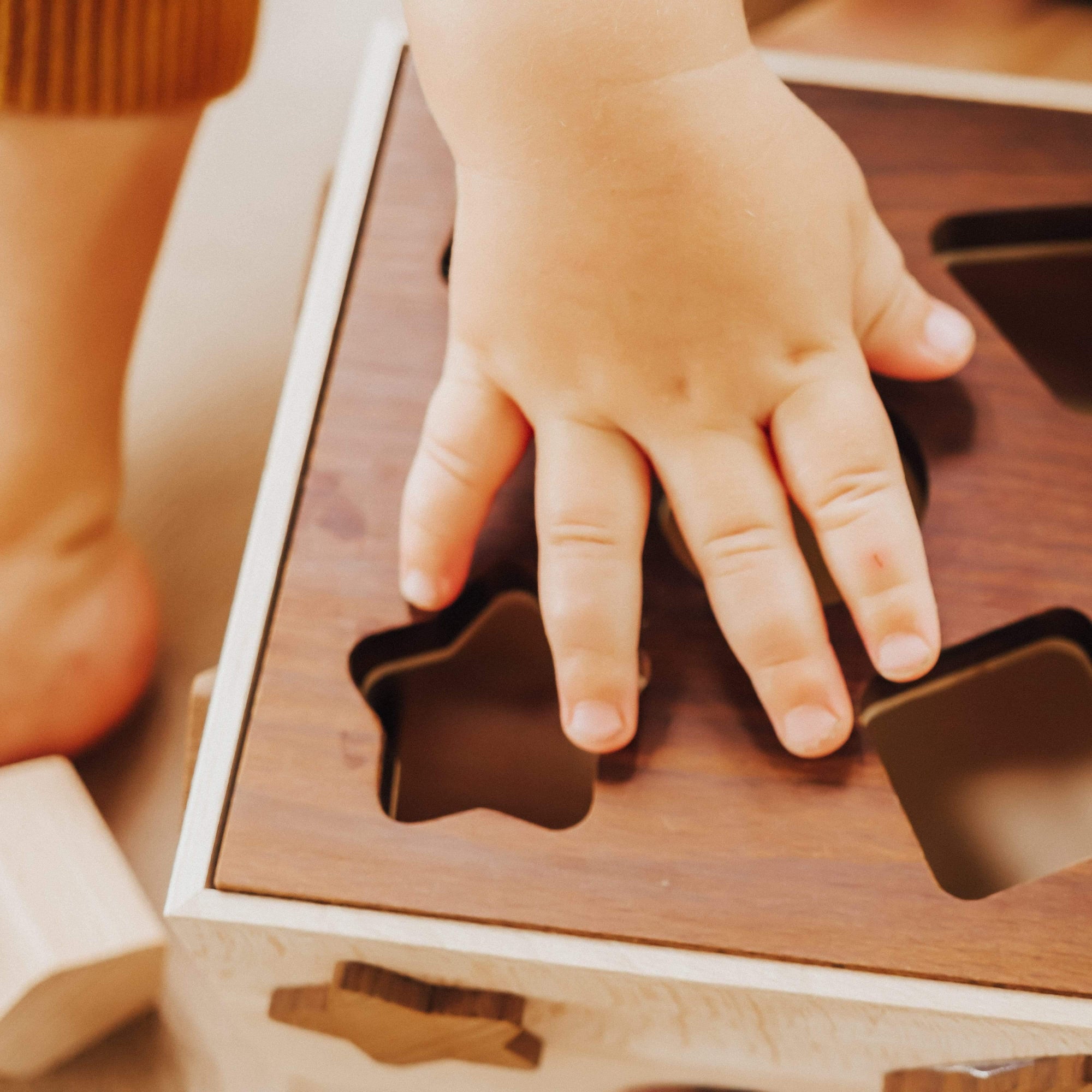 The Curated Parcel - Goki Nature Shape Sorting Box 