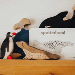 The Curated Parcel - Holztiger // Seal 