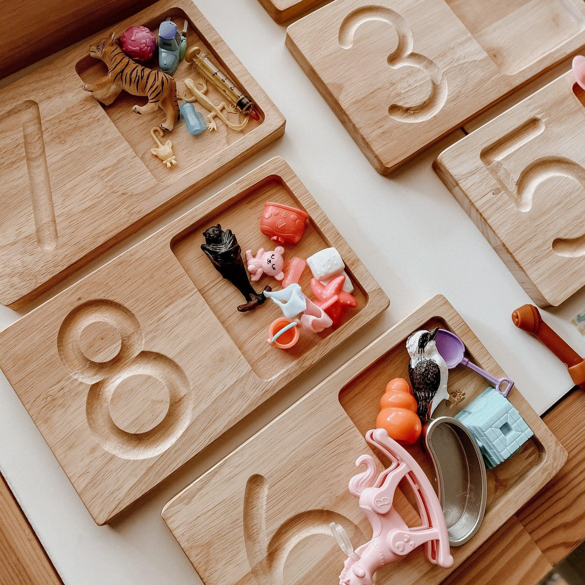 The Curated Parcel - Jumbo Counting &amp; Collection Trays 
