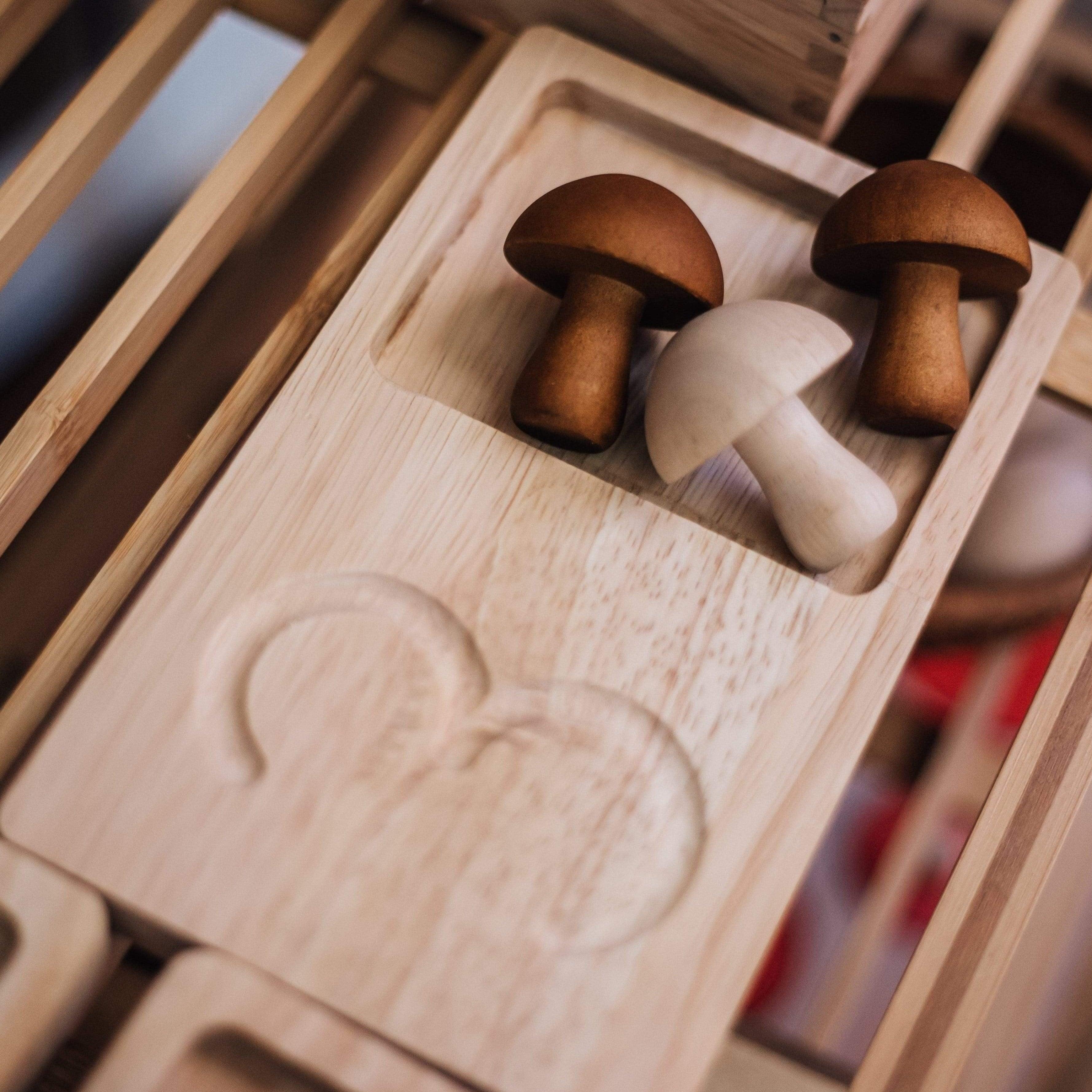 The Curated Parcel - Jumbo Counting & Collection Trays 