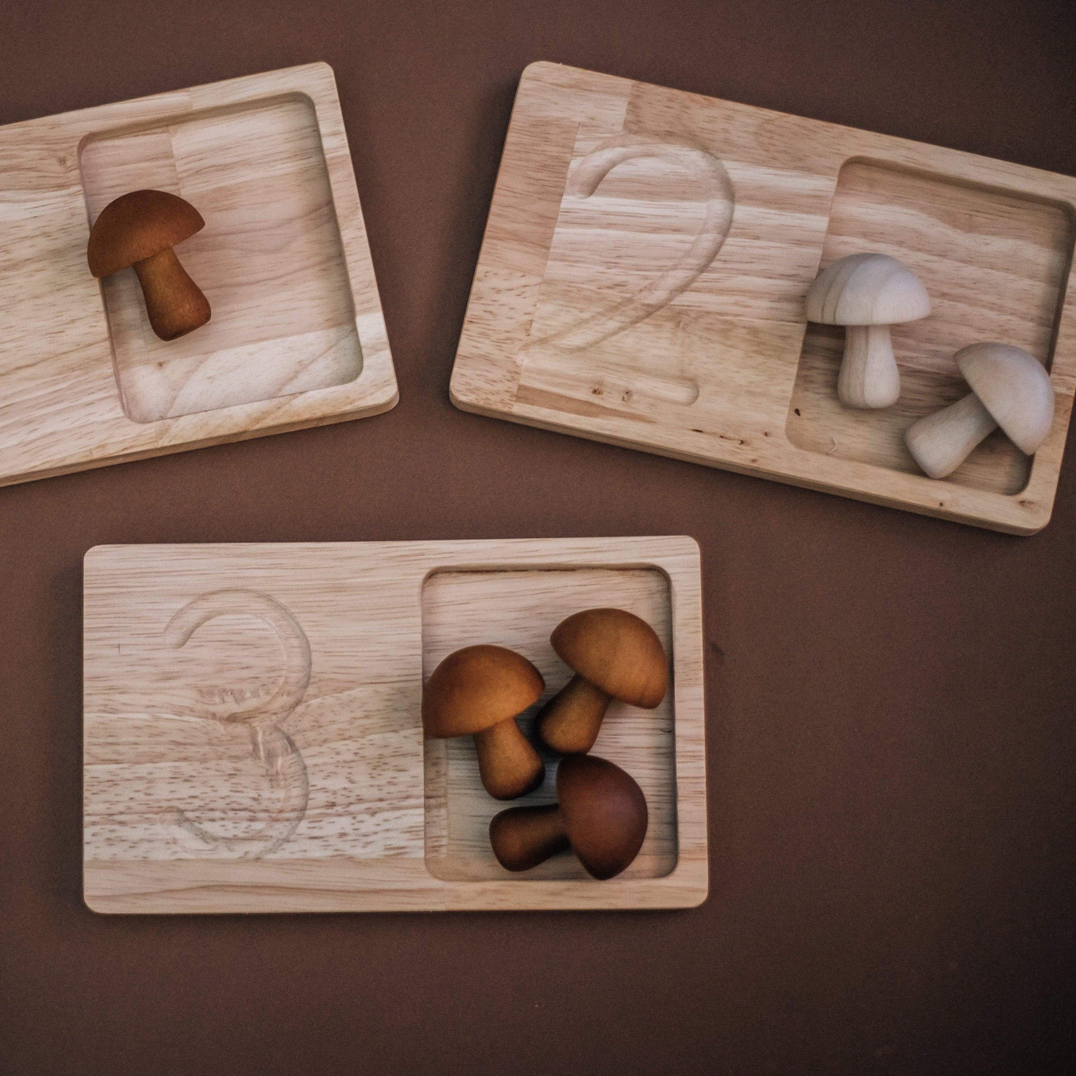 The Curated Parcel - Jumbo Counting & Collection Trays 