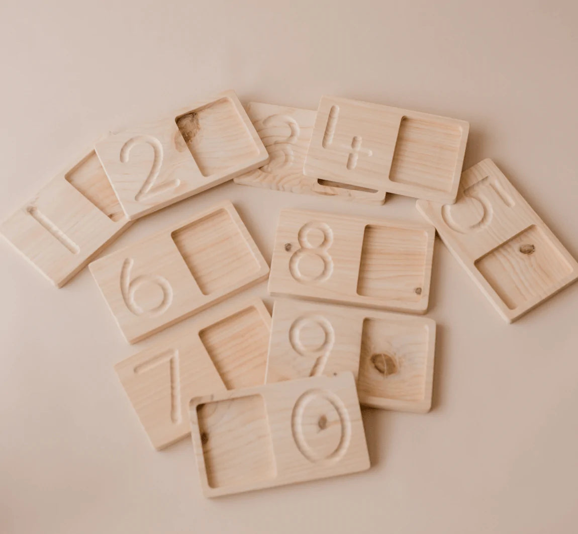 The Curated Parcel - Jumbo Counting &amp; Collection Trays 