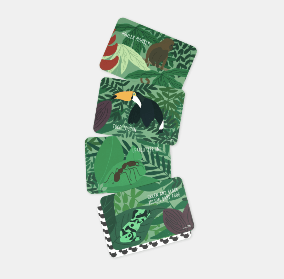 The Curated Parcel - Jungle Adventures 