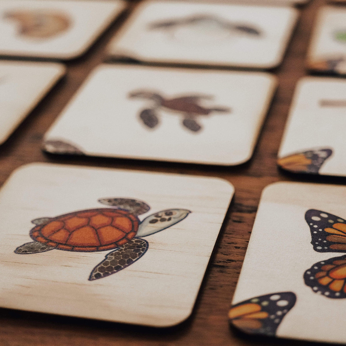 The Curated Parcel - Life Cycle Matching Puzzle Set 