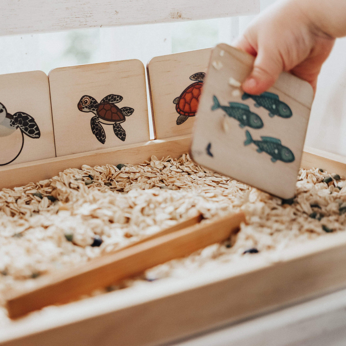 The Curated Parcel - Life Cycle Matching Puzzle Set 