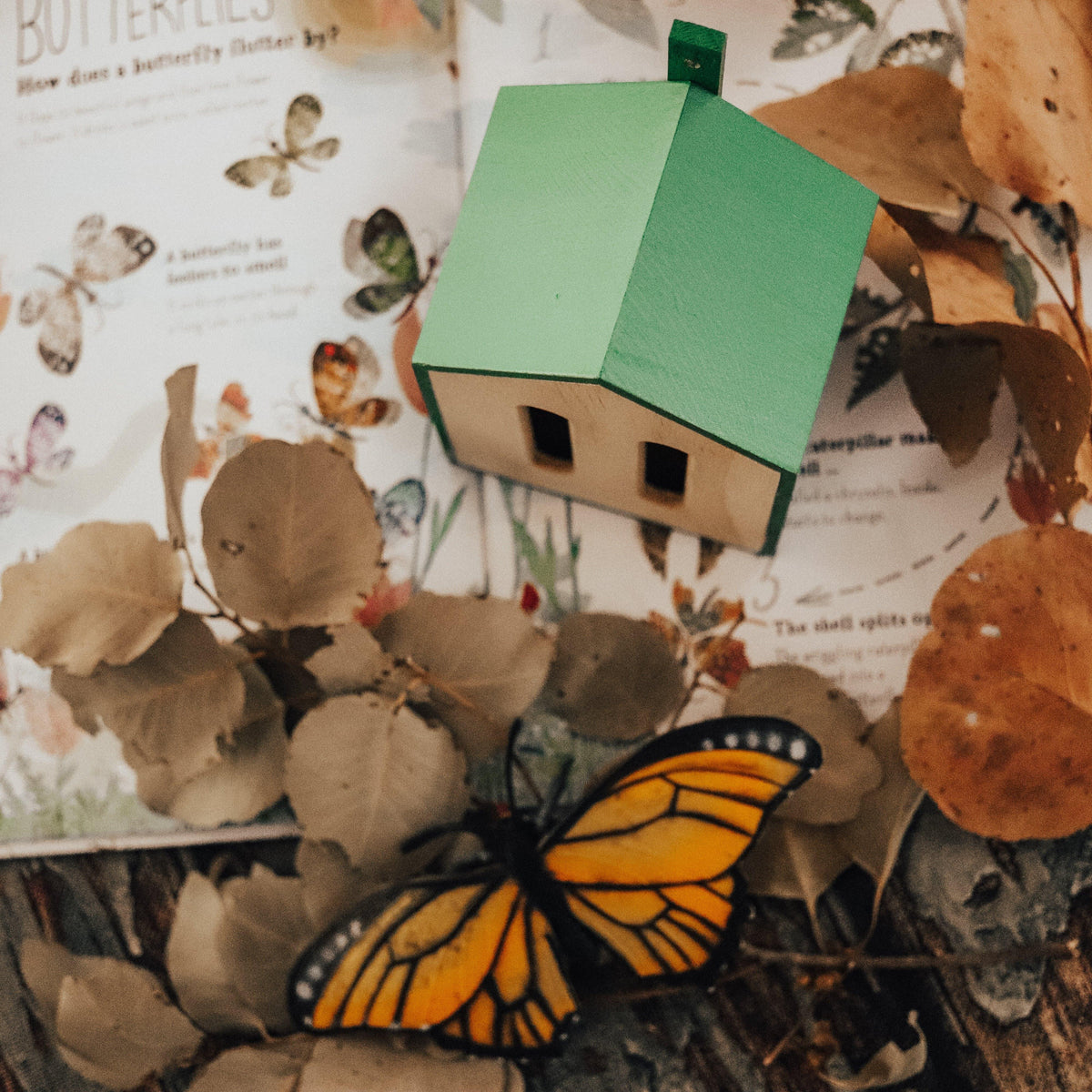 The Curated Parcel - Little Butterfly House 