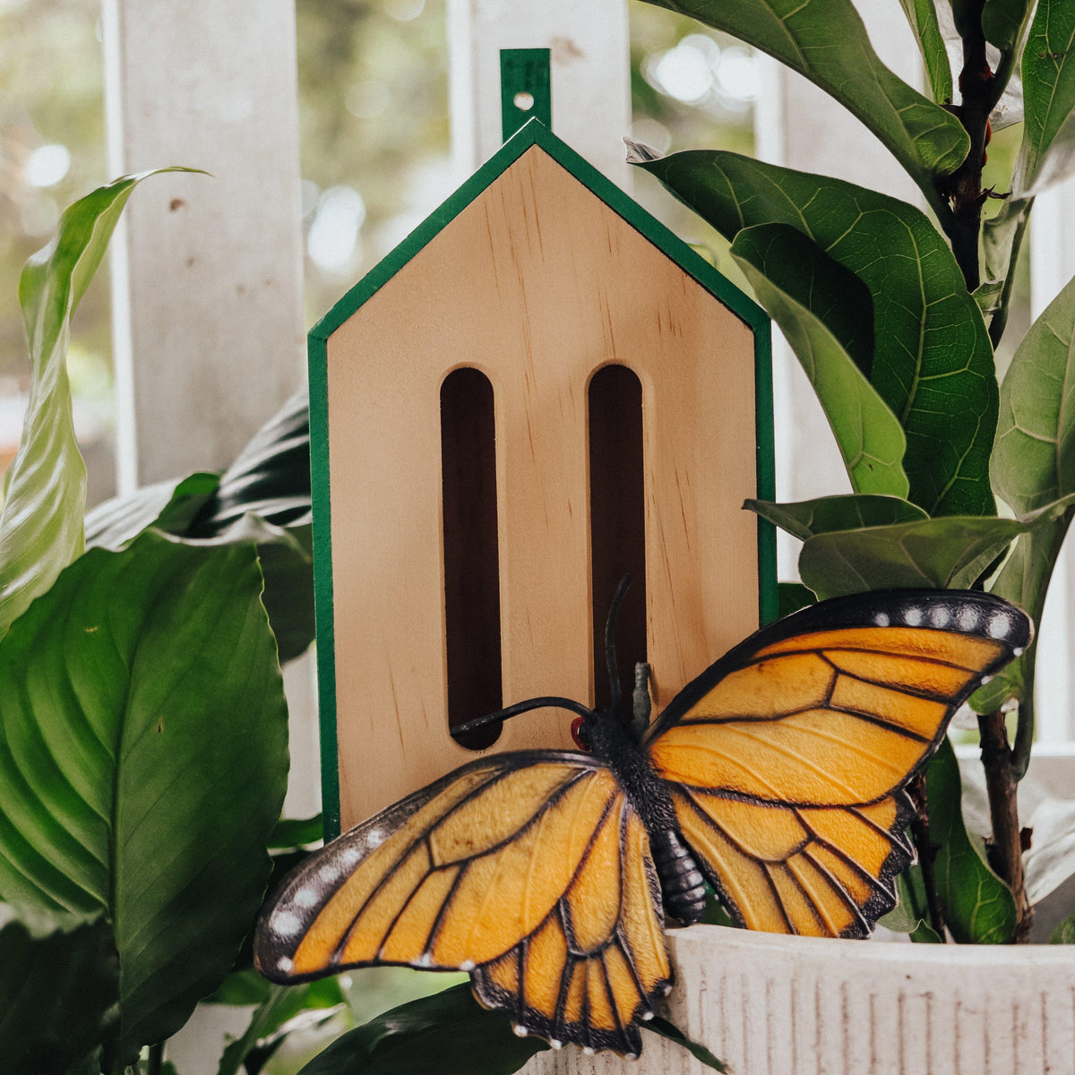 The Curated Parcel - Little Butterfly House 