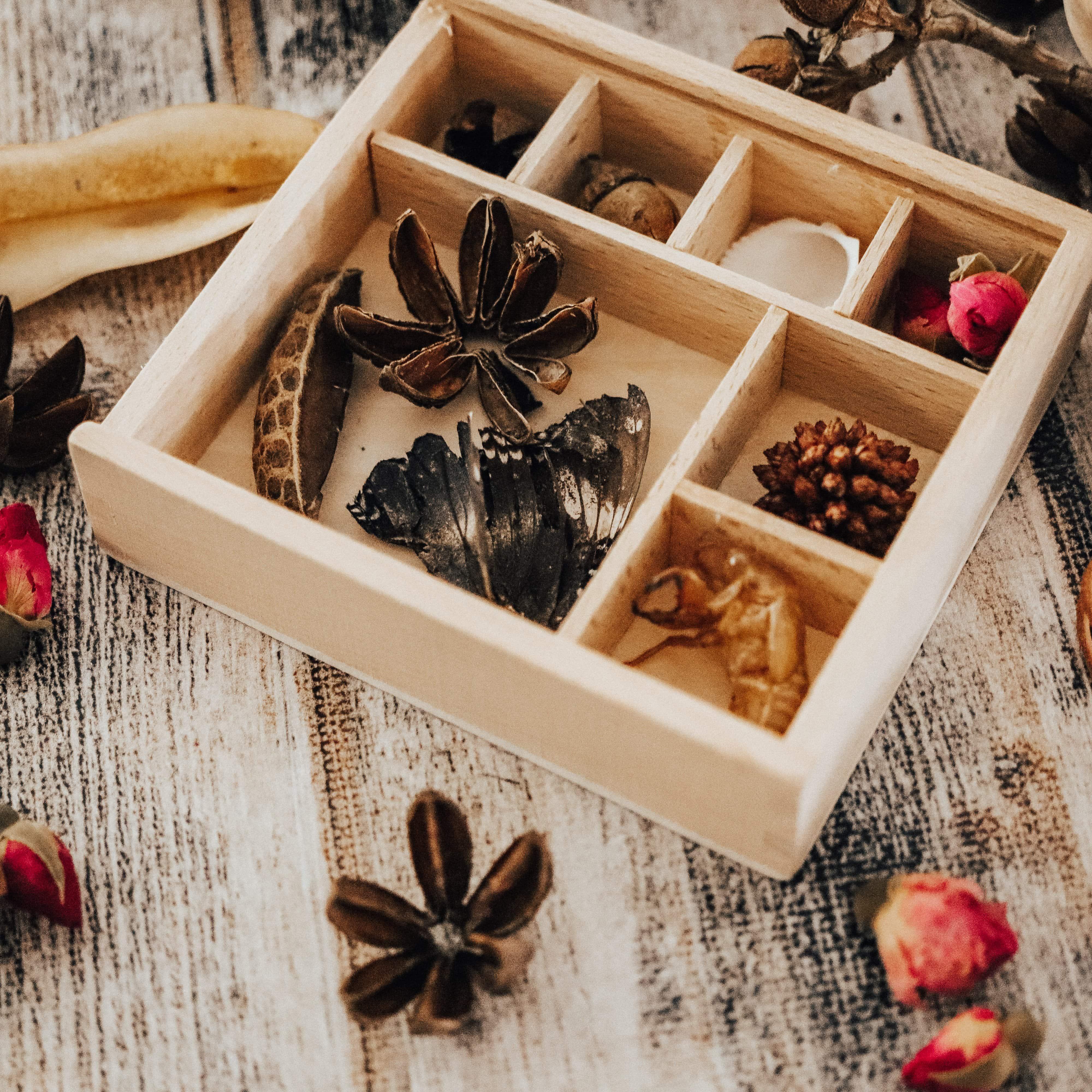 The Curated Parcel - Magnifying Bug Boxes 