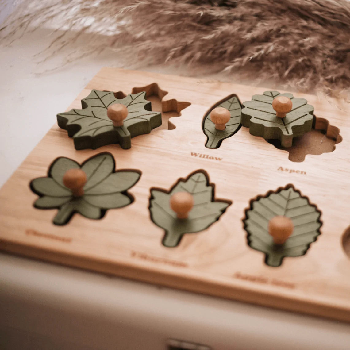 The Curated Parcel - Montessori Leaf Puzzle 