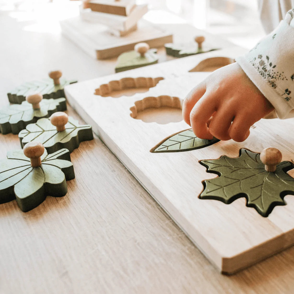 The Curated Parcel - Montessori Leaf Puzzle 