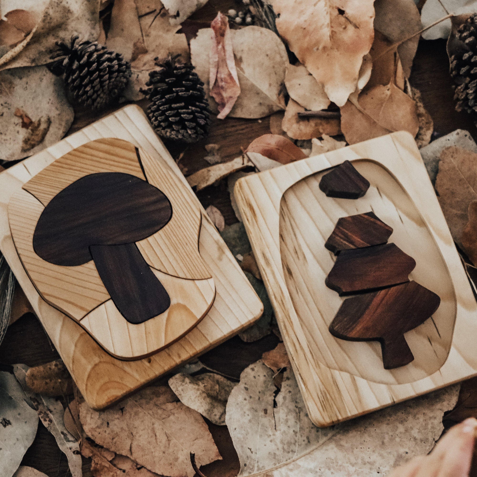 The Curated Parcel - Natural Wooden Pocket Puzzle 