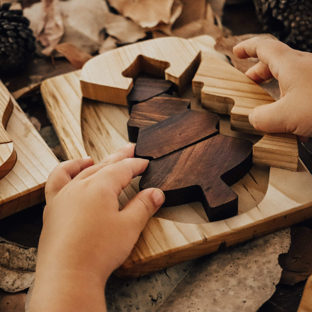 The Curated Parcel - Natural Wooden Pocket Puzzle 