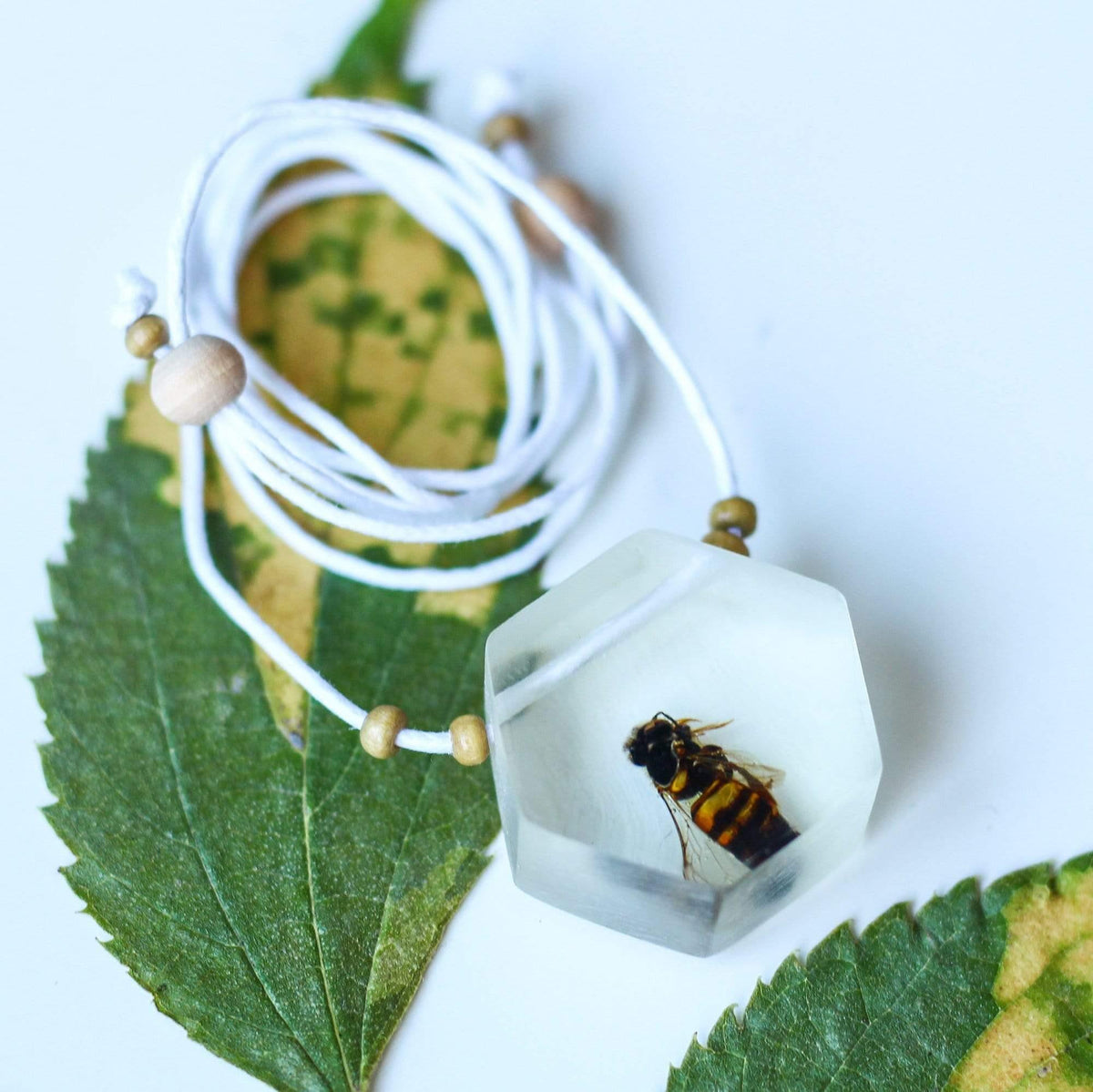 The Curated Parcel - Nature Necklaces 