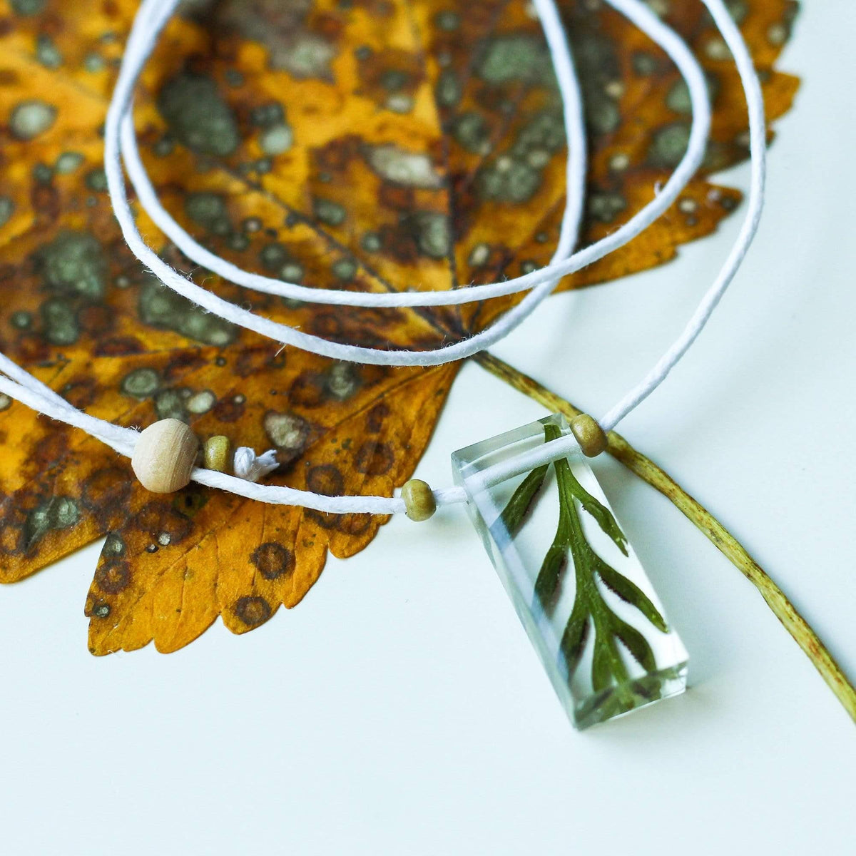 The Curated Parcel - Nature Necklaces 