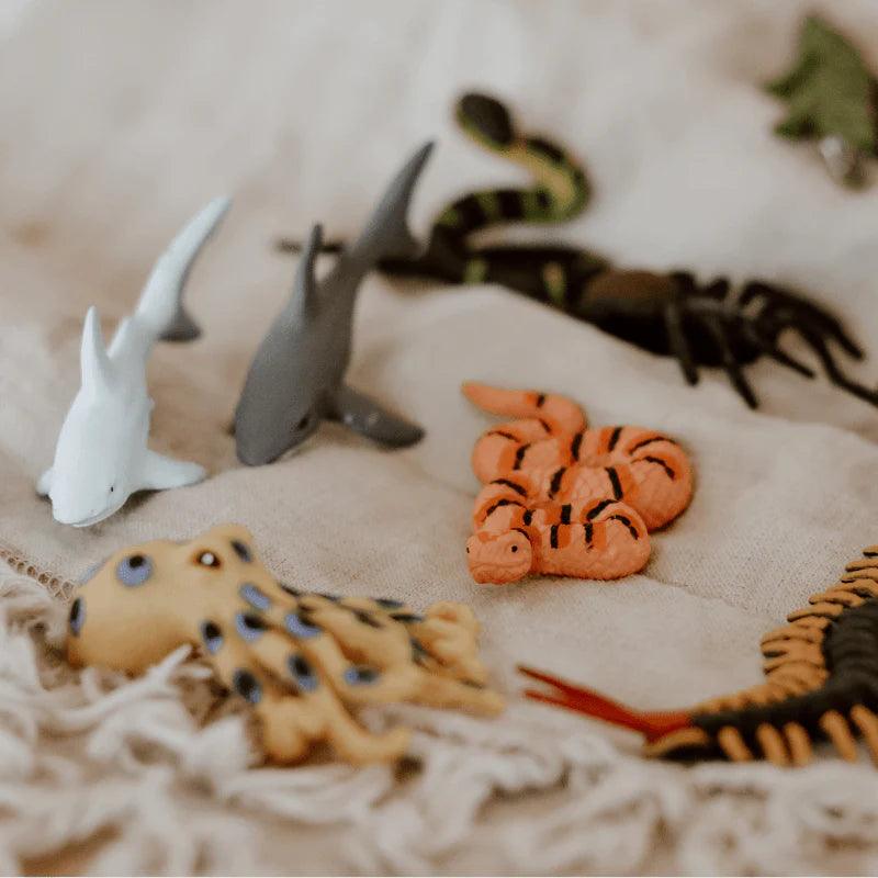 The Curated Parcel - Nature Tube // Australia's Deadliest 