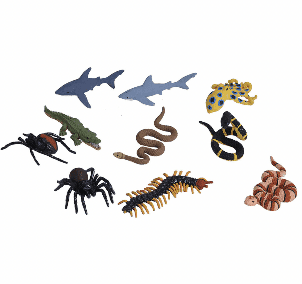 The Curated Parcel - Nature Tube // Australia's Deadliest 